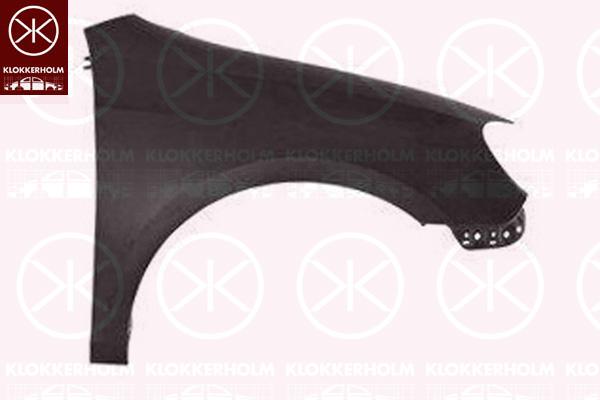 Wing, Right Front, Zinc-coated, 5K6 821 022 (VW), 5K6 821 022B (VW)