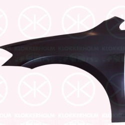 Wing, Left Front, 5G0 821 105B (VW), 5G0821105B (VW)