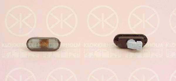 Direction Indicator, with bulb holder, Smoke Grey, lateral installation, 3A0 949 1171B (VW), 3B0 949 117C (VW)