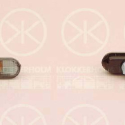 Direction Indicator, with bulb holder, Smoke Grey, lateral installation, 3A0 949 1171B (VW), 3B0 949 117C (VW)