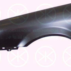 Wing, Left Front, with hole for direction indicator, 3A0 821 021B (VW)