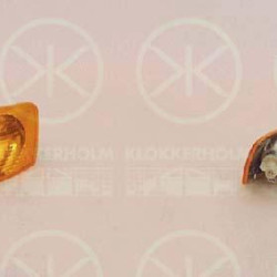 Direction Indicator, with bulb holder, yellow, Right, 3B0 953 042 (VW)