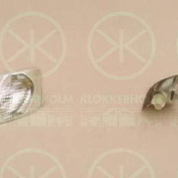 Direction Indicator, with bulb holder, white, Right, 3B0 953 042C (VW)