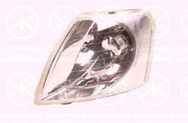 Direction Indicator, with bulb holder, Crystal clear, Right Front, 3B0 953 042 (VW), 3B0 953 050C (VW)