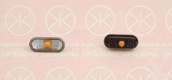 Direction Indicator, without bulb holder, Smoke Grey, lateral installation, 3B0 949 117C (VW)