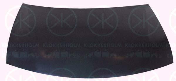 Bonnet, 3B0 823 031A (VW), 3B0 823 031E (VW), 3B0823031A (VW), 3B0823031B (VW), 3B0823031C (VW), 3B0823031D (VW)