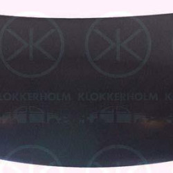 Bonnet, 3B0 823 031A (VW), 3B0 823 031E (VW), 3B0823031A (VW), 3B0823031B (VW), 3B0823031C (VW), 3B0823031D (VW)