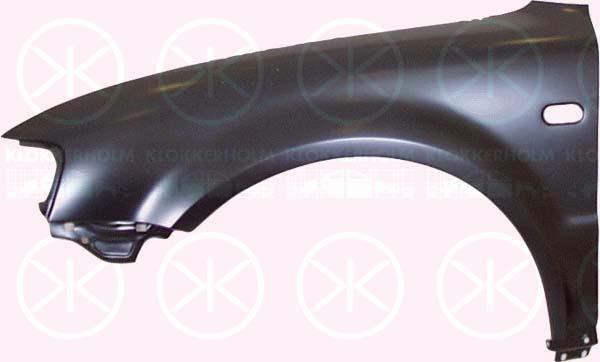 Wing, Left Front, with hole for direction indicator, 3B0 821 105C (VW)