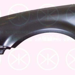 Wing, Left Front, with hole for direction indicator, 3B0 821 105C (VW)