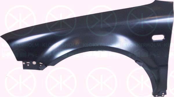 Wing, Left Front, with hole for direction indicator, 3B0 821 105E (VW)