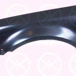 Wing, Right Front, with hole for direction indicator, 3B0 821 106D (VW), 3B0 821 106E (VW)