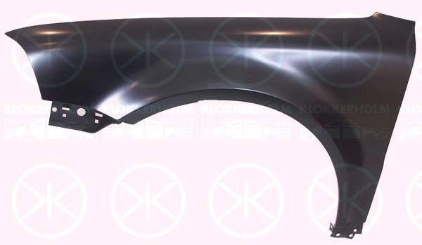 Wing, Left Front, 3B0 821 105G (VW)