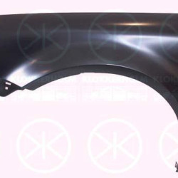 Wing, Left Front, 3B0 821 105G (VW)