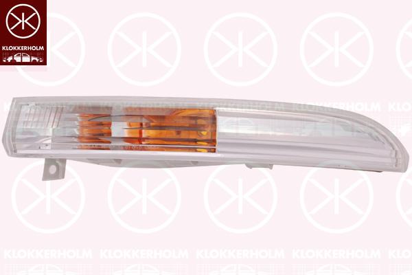 Direction Indicator, Right Front, CC, 3C8 953 042 (VW)