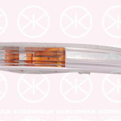 Direction Indicator, Right Front, CC, 3C8 953 042 (VW)