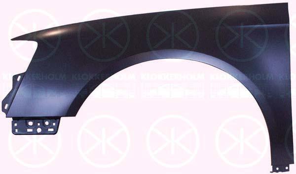 Wing, Left Front, 3C0 821 021 (VW)