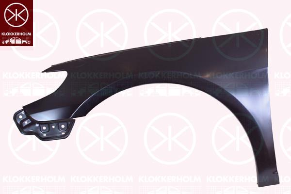 Wing, Left Front, without hole for direction indicator, 3C8 821 021 (VW)