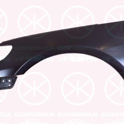 Wing, Left Front, without hole for direction indicator, 3C8 821 021 (VW)