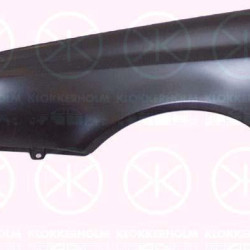 Wing, Left Front, without hole for aerial, with hole for direction indicator, 1H0 821 105 A (VW)