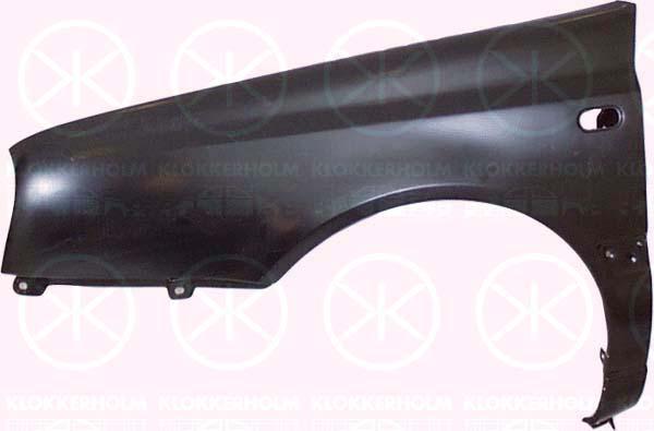 Wing, Left Front, without hole for aerial, with hole for direction indicator, 1H0 821 105C (VW)