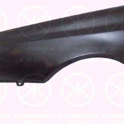 Wing, Left Front, without hole for aerial, with hole for direction indicator, 1H0 821 105C (VW)