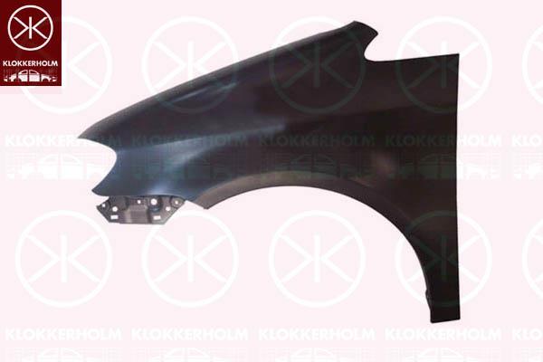 Wing, Left Front, without hole for direction indicator, 1T0 821 021B (VW)