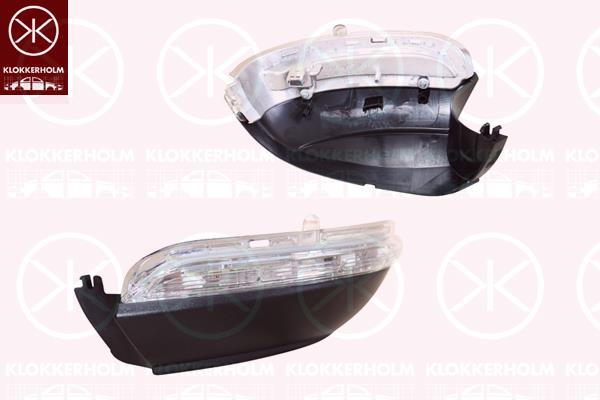 Direction Indicator, Right, Exterior Mirror, LED, 3C8 949 102D (VW)