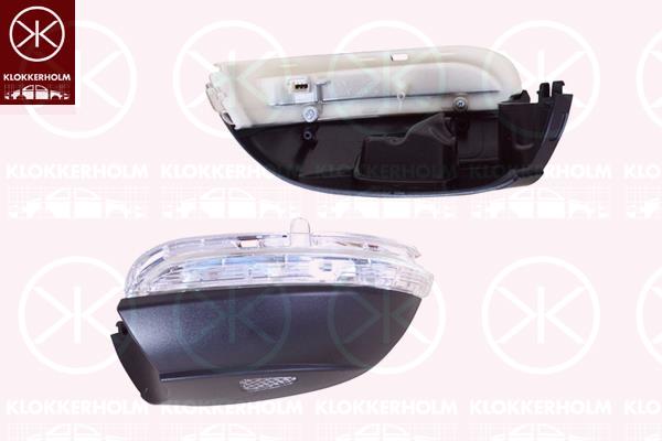 Direction Indicator, Left, Exterior Mirror, with reading light, LED, 3C8 949 101E (VW)