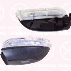 Direction Indicator, Left, Exterior Mirror, with reading light, LED, 3C8 949 101E (VW)