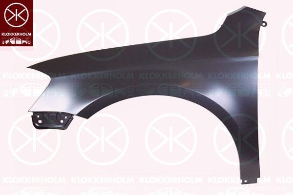 Wing, Left Front, 3AA 821 021 (VW), 3AA 821 021A (VW), 3AA821021B (VW)