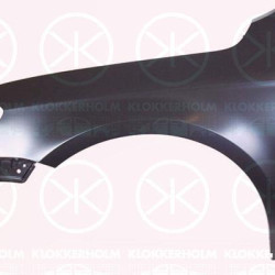 Wing, Left Front, 3AA 821 021 (VW), 3AA 821 021A (VW), 3AA821021B (VW)