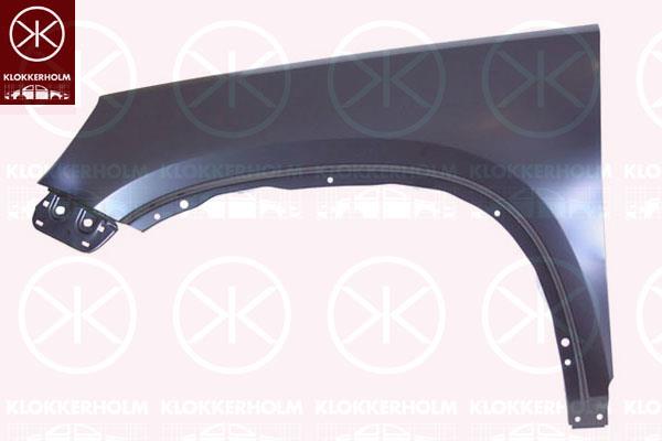 Wing, Left Front, without hole for direction indicator, 5N0 821 105 (VW), 5N0 821 105A (VW)