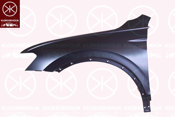 Wing, Left Front, without hole for direction indicator, 5NA821105 (VW), 5NA821105B (VW)