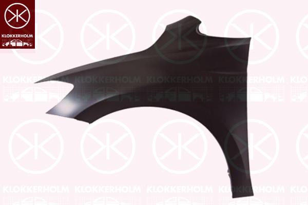 Wing, Left Front, without hole for direction indicator, 5TA 821 105 (VW)