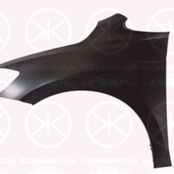 Wing, Left Front, without hole for direction indicator, 5TA 821 105 (VW)