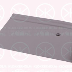 Rocker Panel, Right, Reinforcing Panel, Inner Section, Length [cm]: 24, Height [cm]: 14, 211 801 328 (VW)