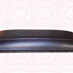 Roof Rack, Fitting Position: Vehicle Roof, Repair Panel, Rear Section, Steel, 