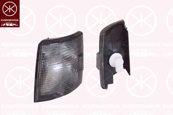 Direction Indicator, with bulb holder, Smoke Grey, Right, N/A (VW)