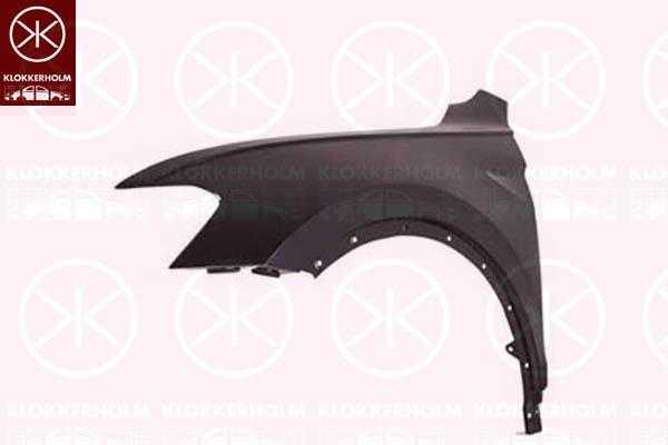 Wing, Left Front, 5NA821105 (VW), 5NA 821 105 (VW), 5NA 821 105B (VW)