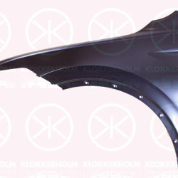 Wing, Left Front, 5NA821105E (VW), 5NA821105F (VW)