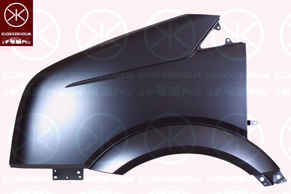 Wing, Left Front, 2E0 821 305 (VW), 2E0821305 (VW)