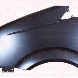 Wing, Left Front, 2E0 821 305 (VW), 2E0821305 (VW)