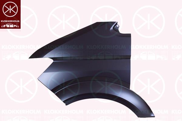 Wing, Left Front, 65612100000 (MAN), 7C0821105B (VW)