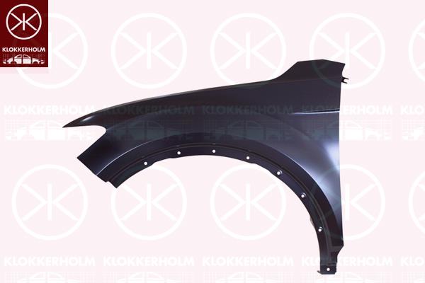 Wing, Left Front, Zinc-coated, 2GA 821 021 (VW)