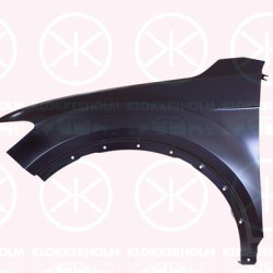 Wing, Left Front, Zinc-coated, 2GA 821 021 (VW)