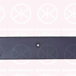 Licence Plate Holder, Front, 2GA 807 287 9B9 (VW)