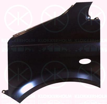 Wing, Left Front, 7H0 821 101E (VW)