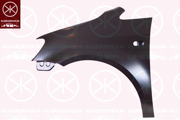 Wing, Left Front, with hole for direction indicator, 2K5 821 021 (VW)