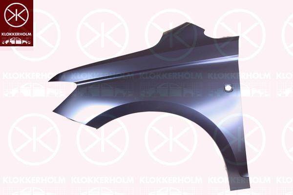 Wing, Left Front, 2K7 821 105 (VW)