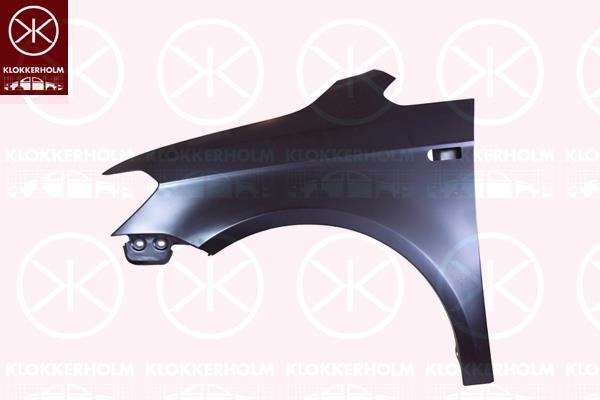 Wing, Left Front, with hole for direction indicator, 2K5 821 021B (VW)